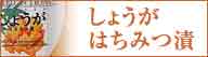 �͂��݂i�n�`�~�c�j�E�I���E���R�H�i�̒ʔ́y�R�c�{�I��z