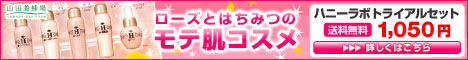 �R�c�{�I��́u�n�j�[���{ �X�L���P�A�v�V���[�Y