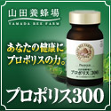 �R�c�{�I��̃v���|���X300
